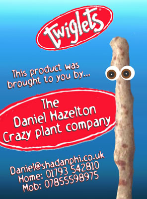 Twiglets