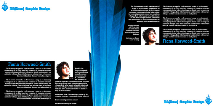 Ignite Section 01 Pages