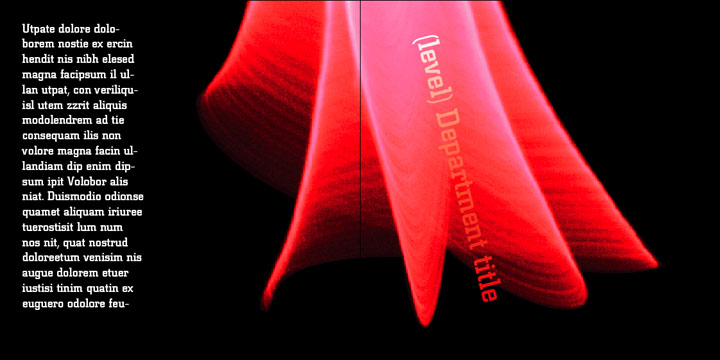 Ignite Section 05