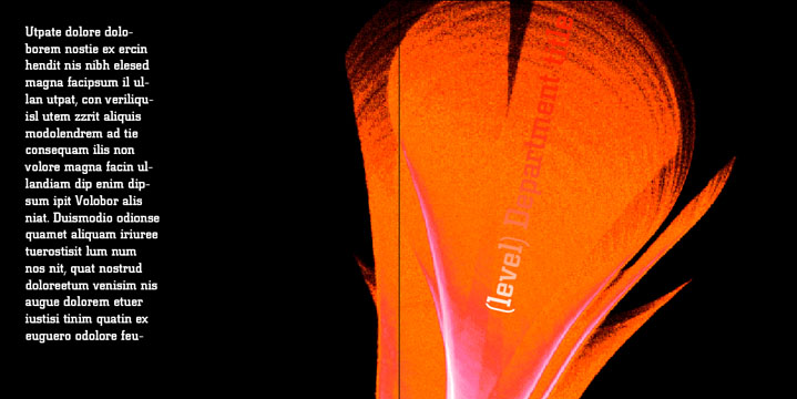 Ignite Section 06