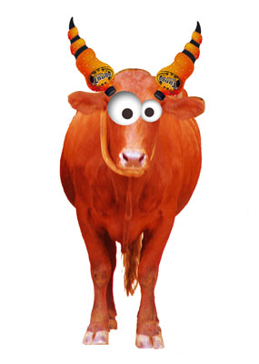 Tango Ox