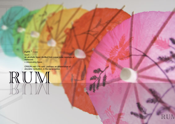 16 Rum intro