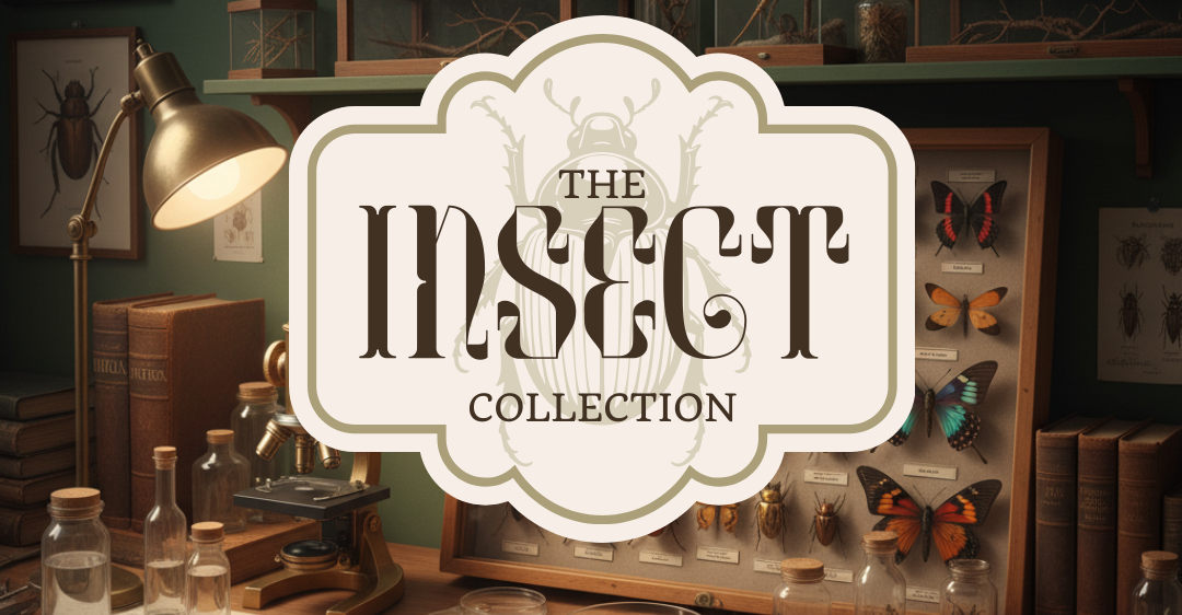 Insect collection