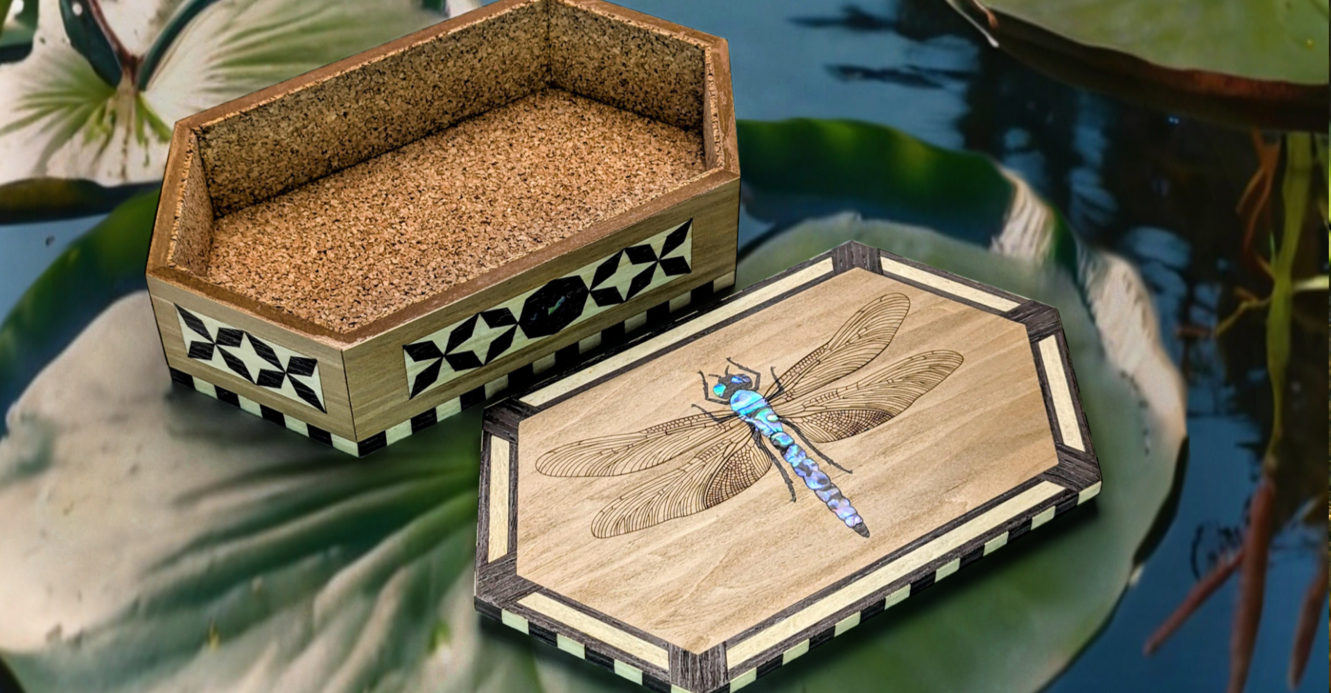 Slideshow Egypt Dragonfly 1 Slideshow Egypt Dragonfly 1