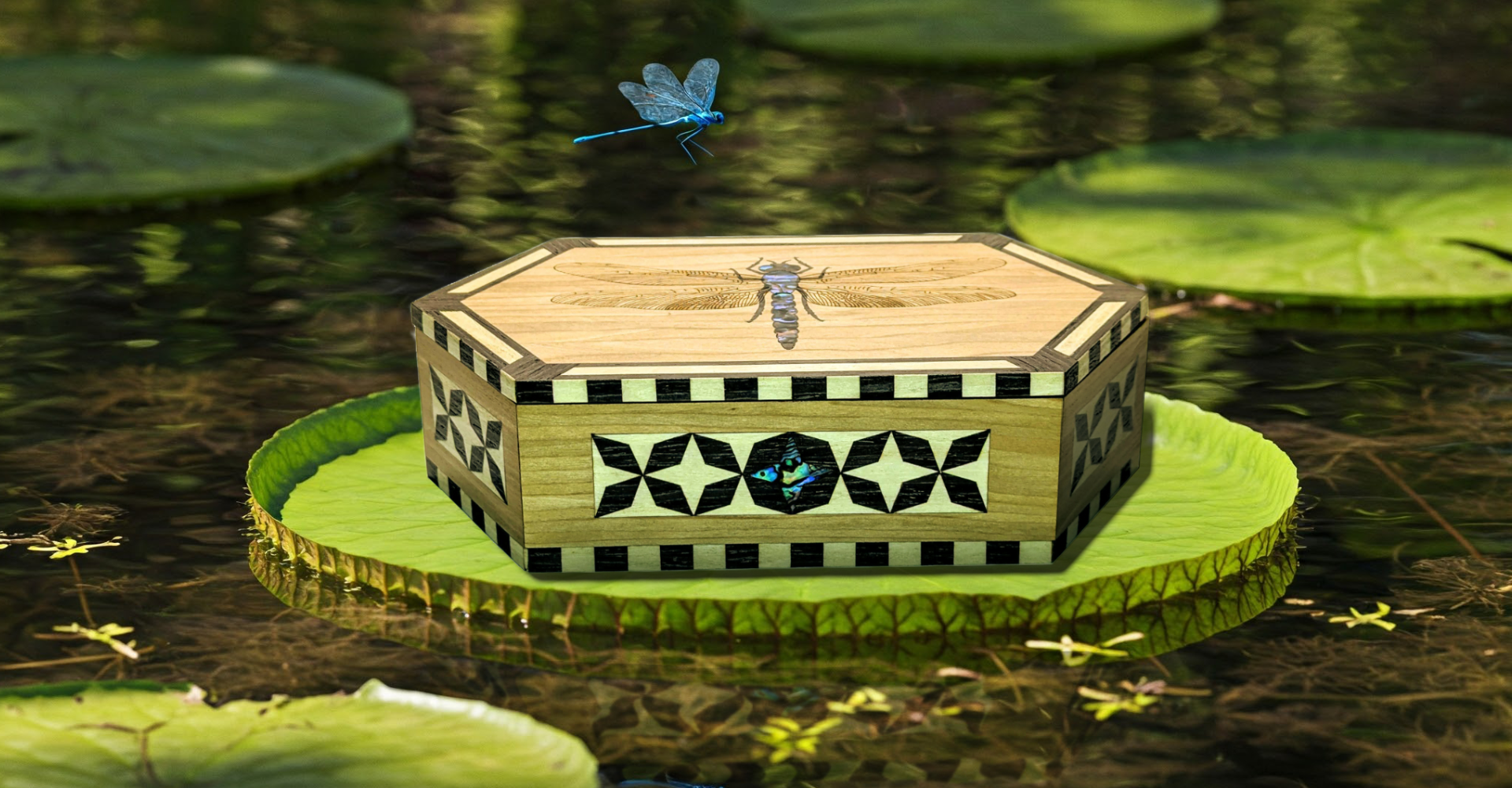 Slideshow Egypt Dragonfly 2 Slideshow Egypt Dragonfly 2