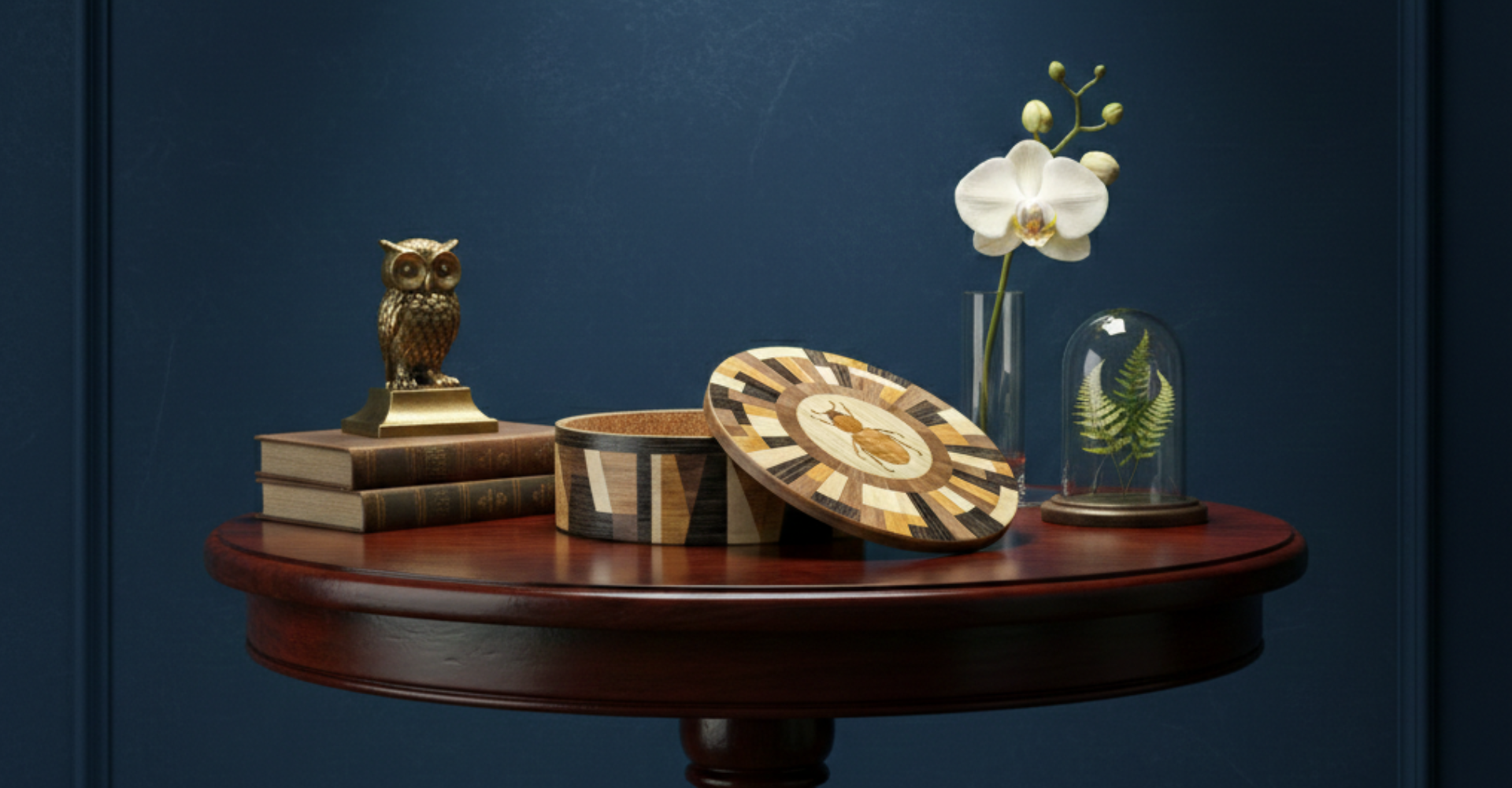 Slideshow Insect 5 Slideshow Insect 5