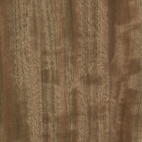 American Walnut
