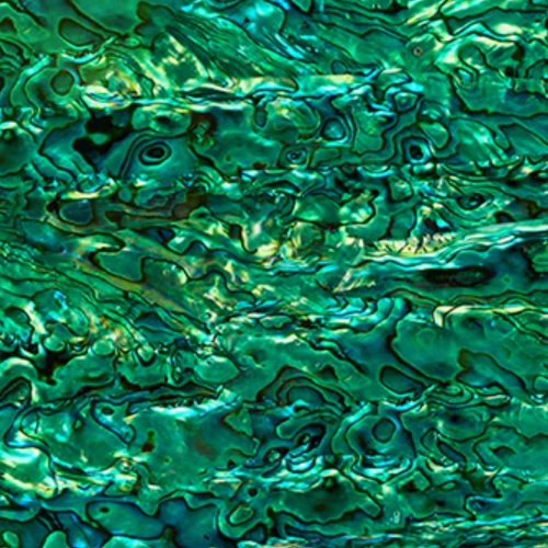 Abalone Shell Emerald Green
